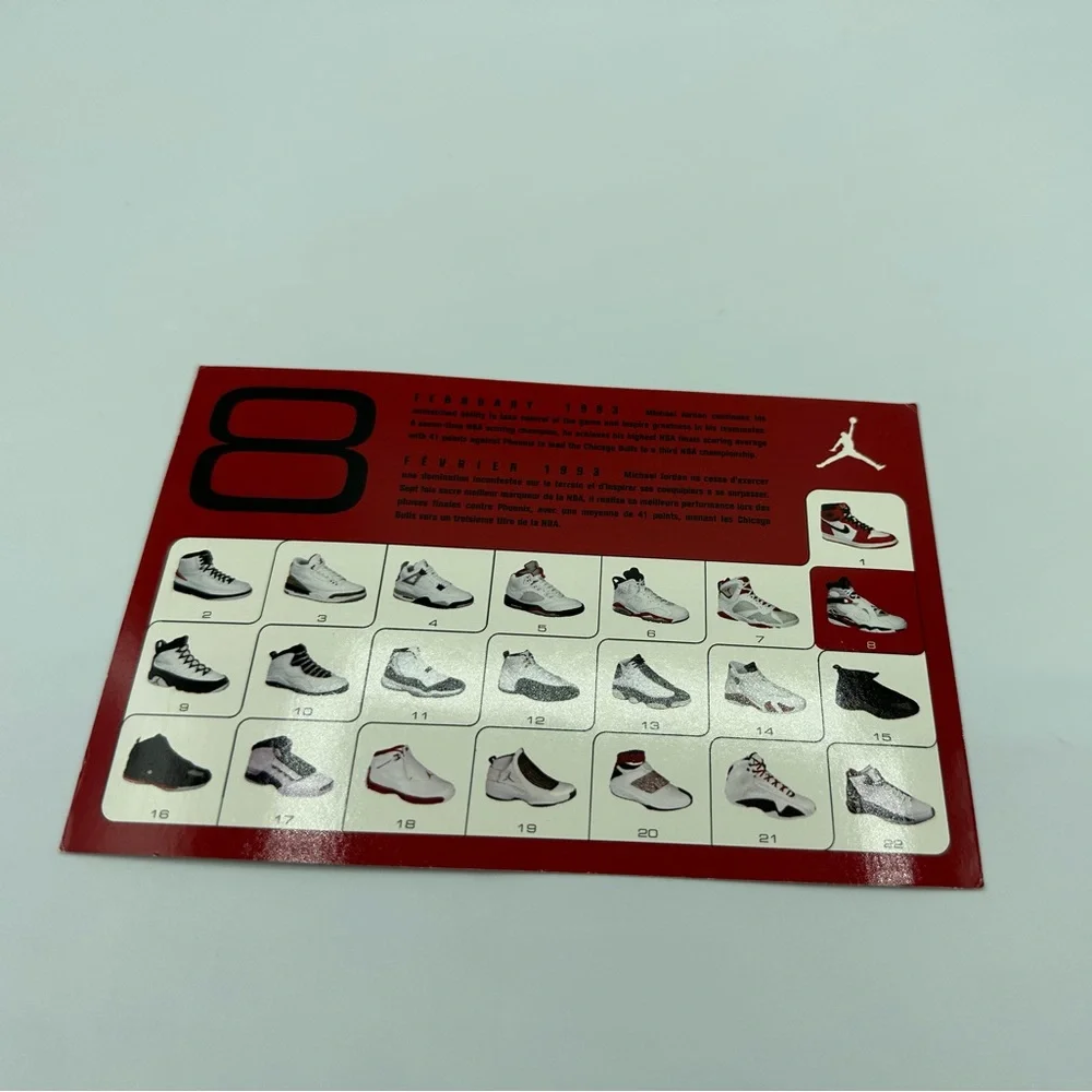 Air Jordan 8 Retro